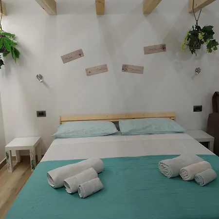 Jungle Loft Apartament