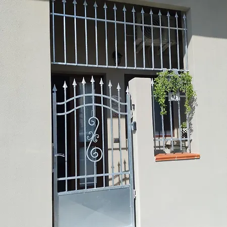 Jungle Loft Lägenhet *