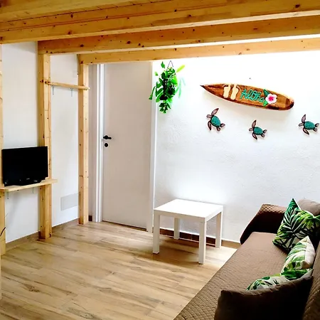 Jungle Loft Appartamento