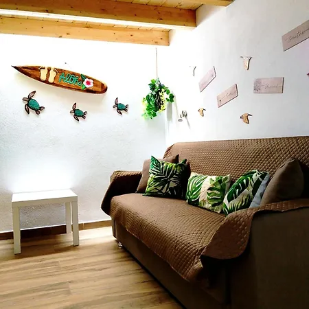 Jungle Loft Appartamento *
