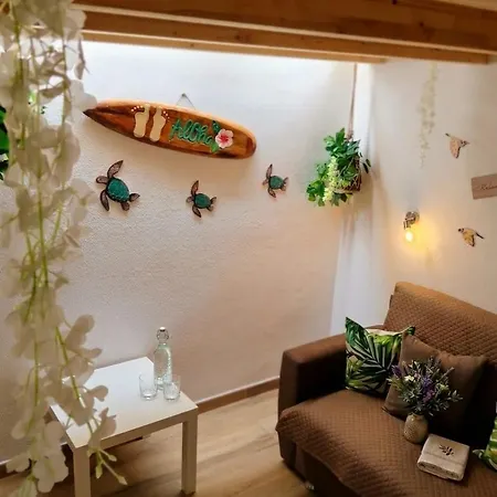 Jungle Loft Apartamento