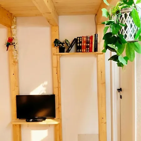 Apartamento Jungle Loft *
