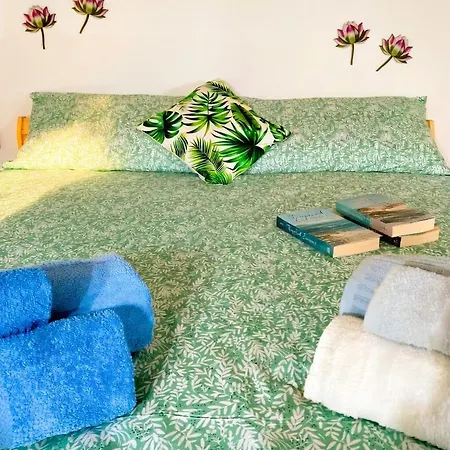 Jungle Loft Apartamento *