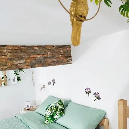 Jungle Loft Apartamento *
